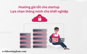 Colocation Hosting cho startup (1)